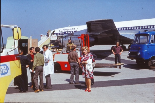 Boeing B 707-330C Lufthansa animals transport