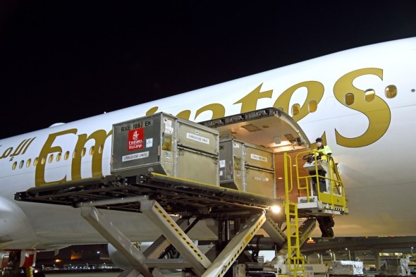 Emirates SkyCargo přeprava vakcíny Pfizer-BioNTech